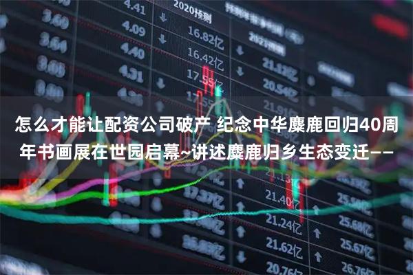 怎么才能让配资公司破产 纪念中华麋鹿回归40周年书画展在世园启幕~讲述麋鹿归乡生态变迁——