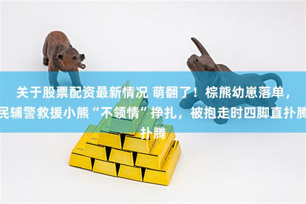 关于股票配资最新情况 萌翻了！棕熊幼崽落单，民辅警救援小熊“不领情”挣扎，被抱走时四脚直扑腾
