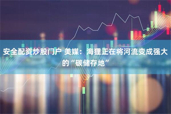 安全配资炒股门户 美媒：海狸正在将河流变成强大的“碳储存地”